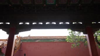 配音,知识,树木,植物,全景