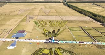 旅拍风景,配音,知识,植物,树木,全景