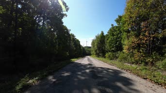 配音,树木,植物,山路,全景