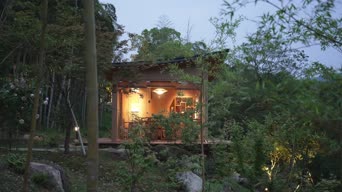 旅拍风景,配音,树木,植物,全景