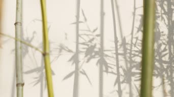 歌曲演唱,画画,植物,树木,全景