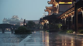 旅拍风景,夜景,美景,城市,树木,植物,河流,全景,秦淮河画舫