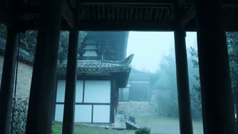 记录,美景,大海,树木,植物,园林,全景