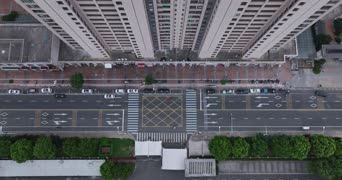 职业技能,我的世界,植物,城市,全景