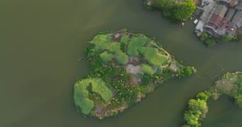 旅拍风景,配音,知识,植物,树木,全景