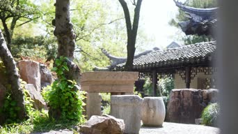 旅拍风景,美景,大自然,树木,植物,全景