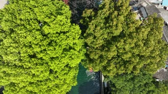 旅拍风景,美景,火车,vlog,大自然,树木,植物,高楼,全景