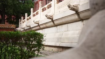 旅拍风景,配音,植物,树木,全景