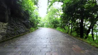 旅拍风景,美景,大自然,树木,植物,山路,全景
