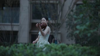乐器演奏,女神,御姐,衣服,植物,树木,弹小提琴,全景