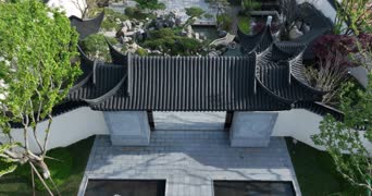 旅拍风景,美景,大自然,植物,树木,全景