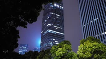 职业技能,美景,雪,夜景,高楼,树木,高楼大厦,全景