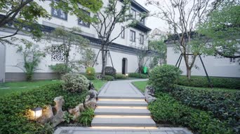 家居装饰,美景,大自然,植物,树木,全景