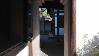 旅拍风景,配音,知识,树木,全景