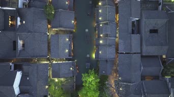 旅拍风景,配音,知识,树木,植物,全景