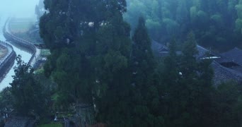 旅拍风景,美景,大自然,树木,植物,全景