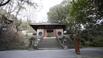 旅拍风景,美景,大自然,树木,植物,全景