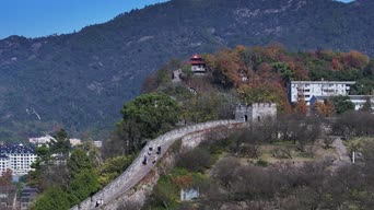旅拍风景,美景,大自然,记录,旅拍,树木,植物,摄影,全景,白云山