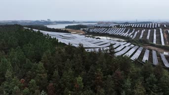 旅拍风景,美景,大自然,树木,全景
