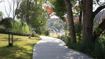 旅拍风景,配音,树木,植物,全景