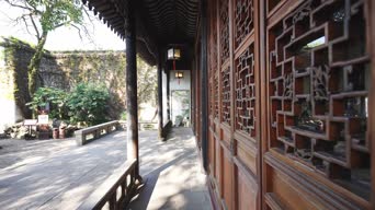 旅拍风景,配音,树木,植物,全景