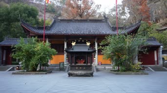 旅拍风景,美景,庭院,旅拍,树木,植物,全景