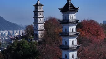 美景,农村,记录,树木,植物,全景,龙天塔