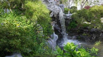 旅拍风景,美景,大自然,神曲,植物,树木,花,瀑布,全景
