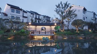 旅拍风景,配音,知识,树木,植物,全景