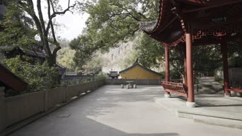 旅拍风景,街拍,美景,幽默,植物,树木,植物,全景