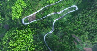 旅拍风景,美景,大自然,树木,植物,全景