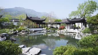旅拍风景,美景,大自然,树木,植物,全景