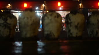 生活日常,配音,知识,全景