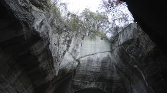 旅拍风景,照片,树木,石刻造像,全景