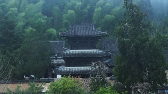 旅拍风景,配音,树木,植物,全景
