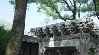 旅拍风景,配音,树木,植物,全景