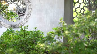 美女帅哥,美景,花,植物,树木,花,衣服