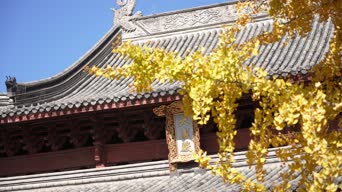 旅拍风景,配音,全景