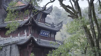 旅拍风景,美景,树木,植物,全景