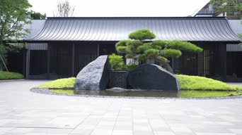 旅拍风景,配音,家具,植物,树木,全景