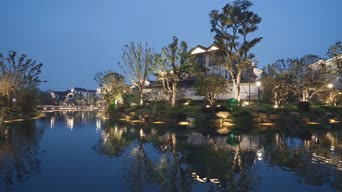 旅拍风景,美景,树木,植物,全景