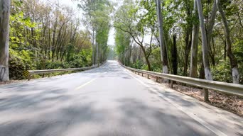 配音,树木,植物,山路,全景