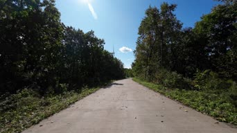 配音,美景,大自然,树木,植物,山路,全景