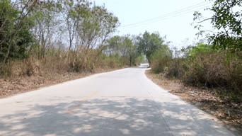 乡村生活,配音,树木,植物,山路,全景
