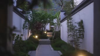 旅拍风景,美景,树木,植物,全景