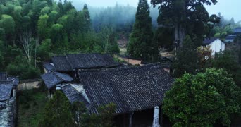 旅拍风景,美景,大自然,树木,植物,全景