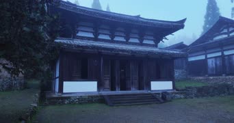 旅拍风景,知识,配音,树木,植物,全景