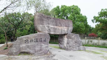 旅拍风景,配音,树木,植物,全景