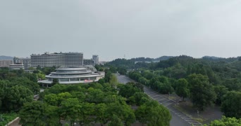 旅拍风景,美景,大自然,树木,全景