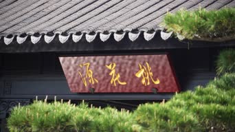 配音,知识,植物,树木,全景